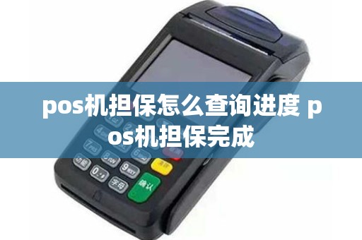 POS机担保查询进度、担保完成与结算设备全解析